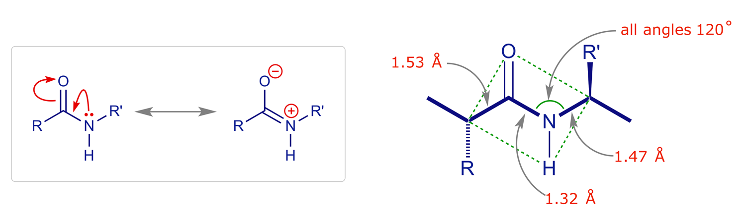 Resonance and bonding geometry in carboxylic amides