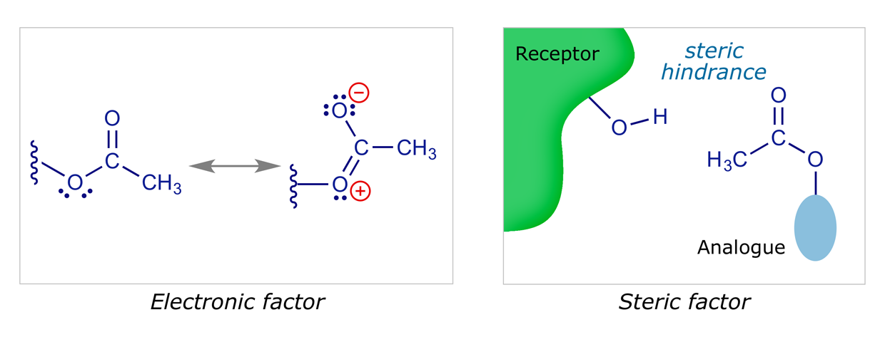 Effect of esterification on binding interactions of hydroxyl