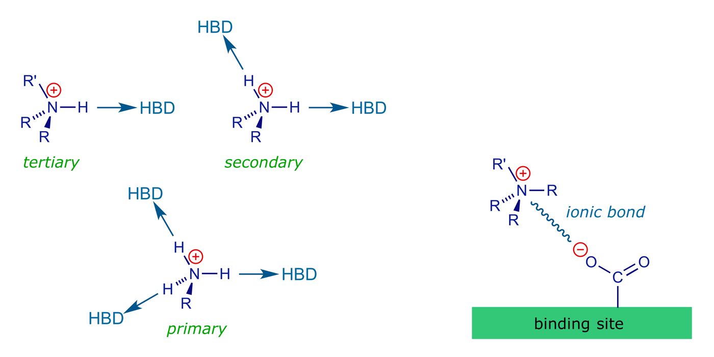 Binding motifs of functional groups: Substituted ammonium as H-bond donor