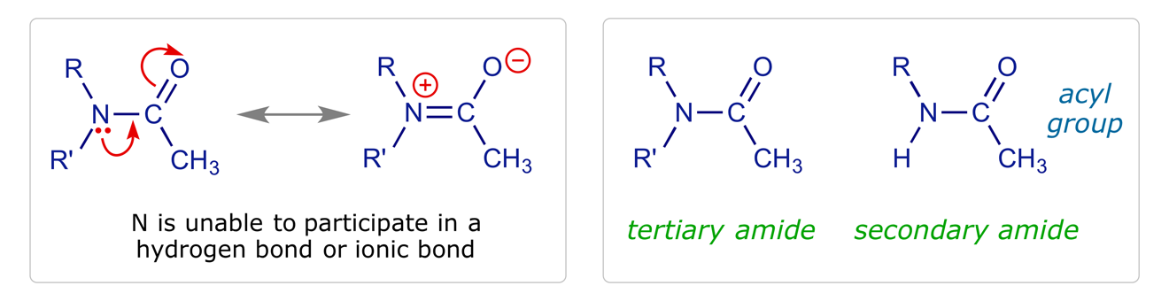 Effect of acylation on bonding interactions of amines