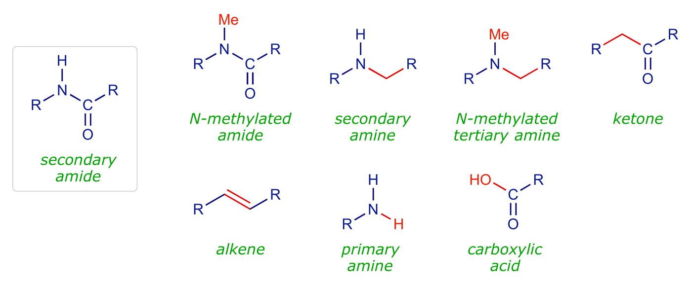 Binding motifs of functional groups: Substituted amides and commonly-used mimics
