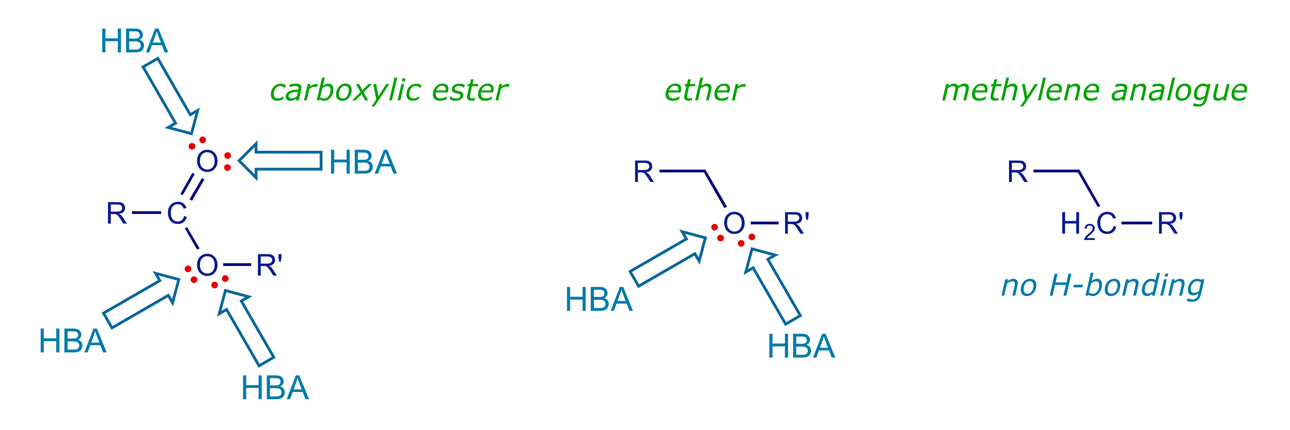 Binding motifs of functional groups: Esters