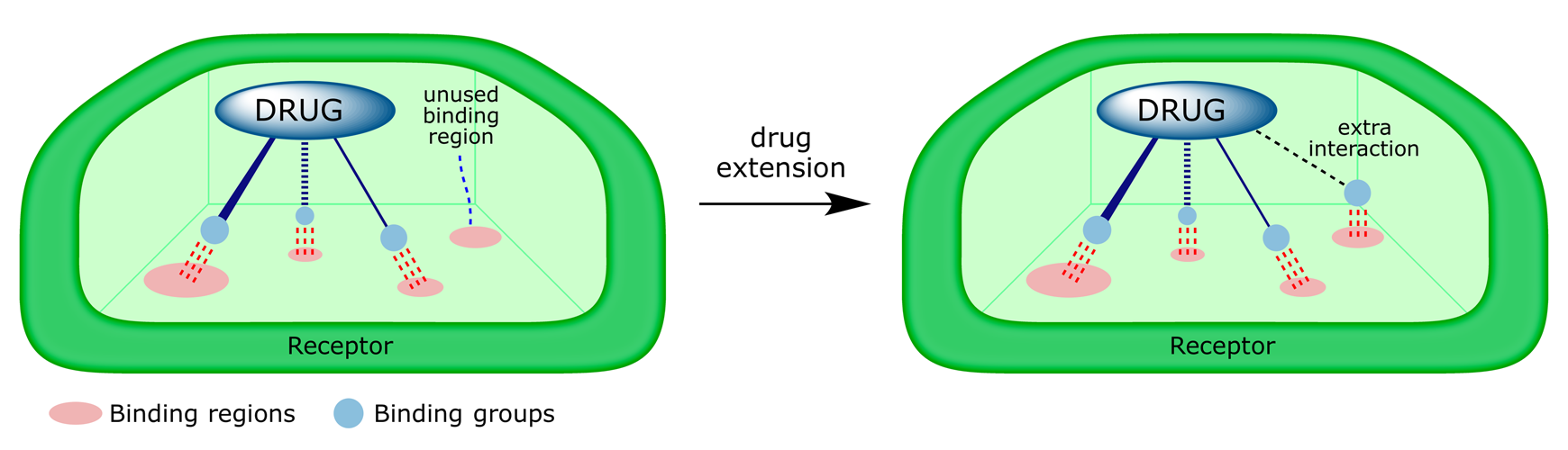 Cartoon showing drug extension to exploit unused binding region