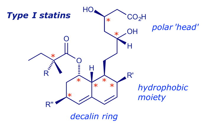 General structure of the type I statins