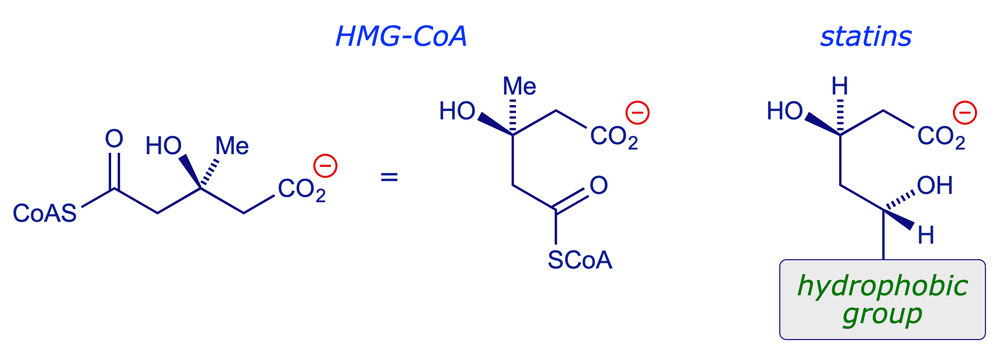 Structural relationship between statins and the natural substrate HMG-CoA