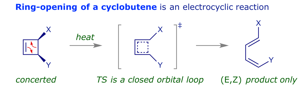 Scheme showing the electrocylic ring opening of a cyclobutene