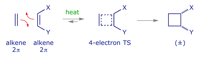 Simplified mechanistic scheme for a [2π + 2π] cycloaddition