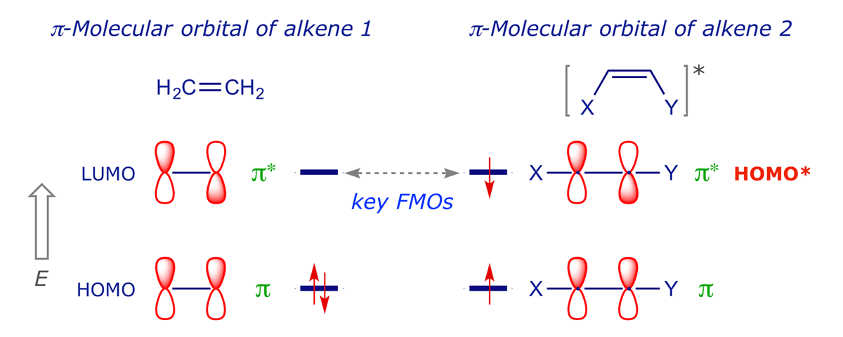 MO interaction diagram for [2 + 2] photoaddition of two alkenes