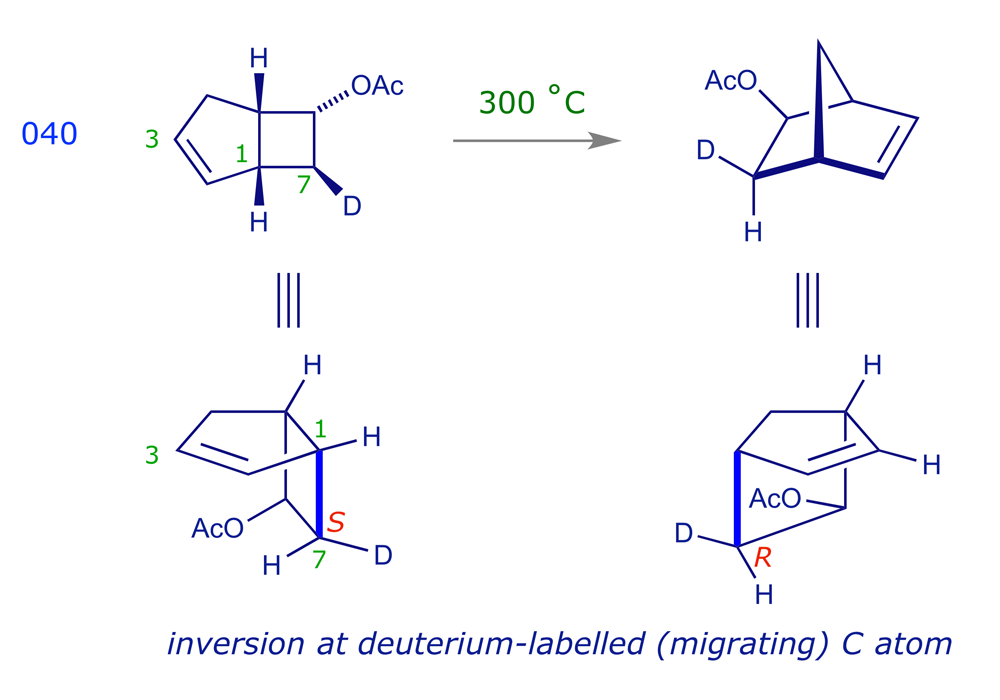 The thermal [1,3] C shift described by Berson and Nelson (1967)