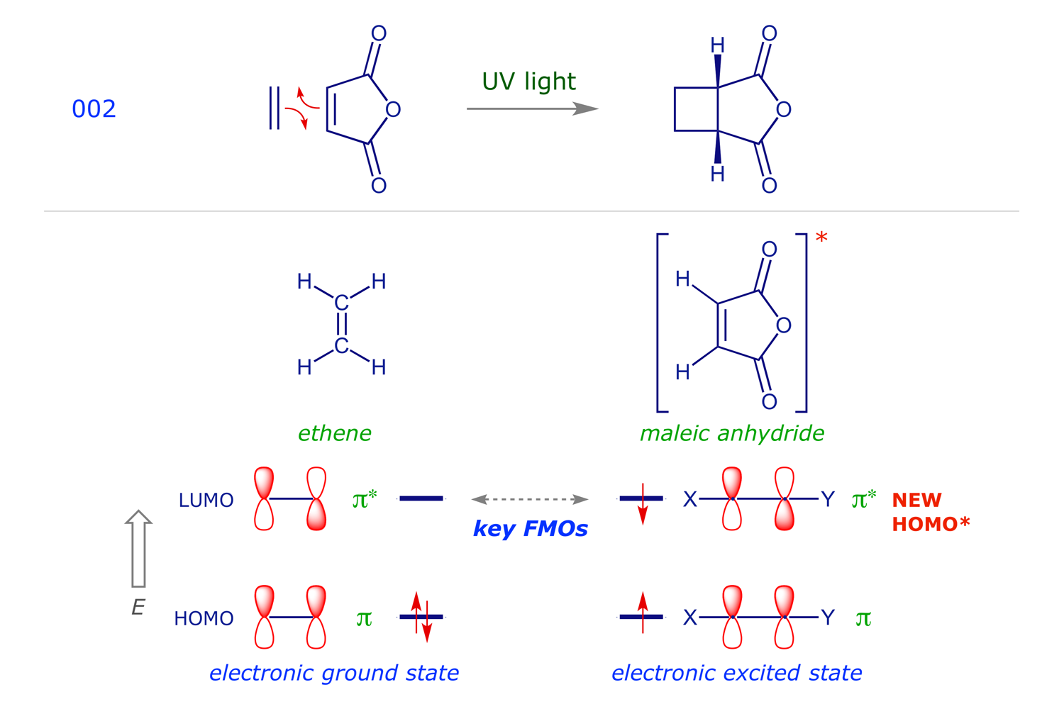Photochemical [2 + 2] addition of ethene to maleic anhydride