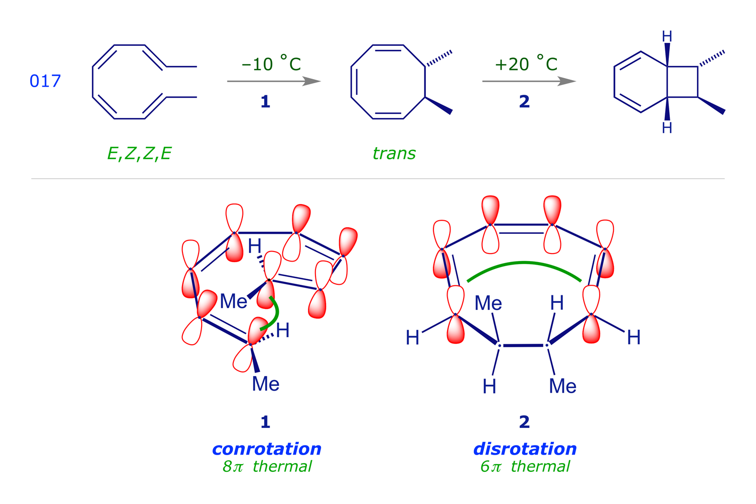 Sequential thermal electrocyclic ring-closures of 2E,4Z,6Z,8E-decatetraene