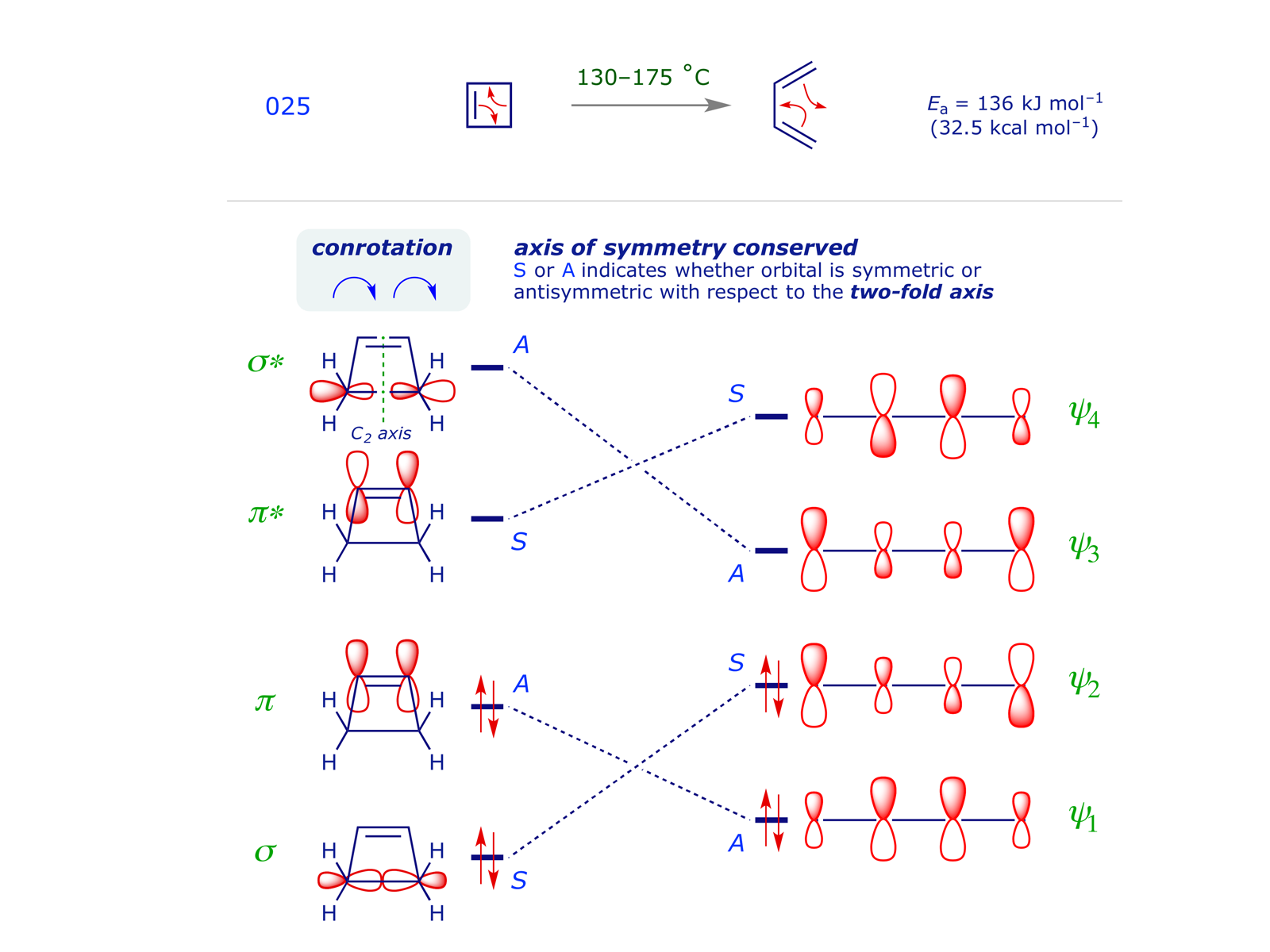 Thermal electrocyclic ring-opening of cyclobutene