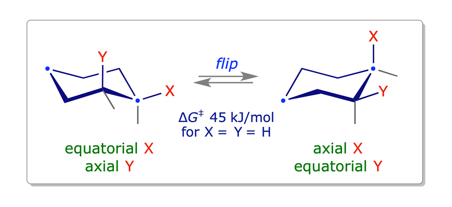 Ring flipping in cyclohexanes
