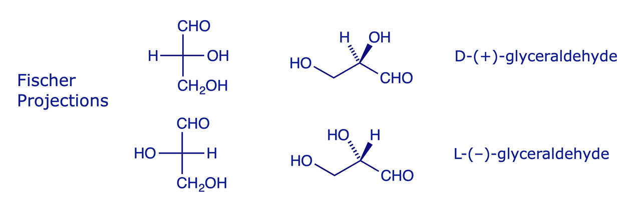 The structures of D- and L-glyceraldehyde