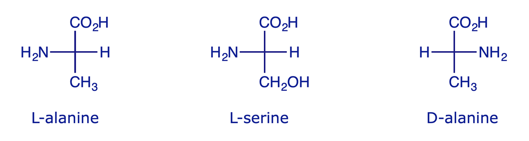 The structures of L-alanine, L-serine and D-alanine shown as Fischer projections