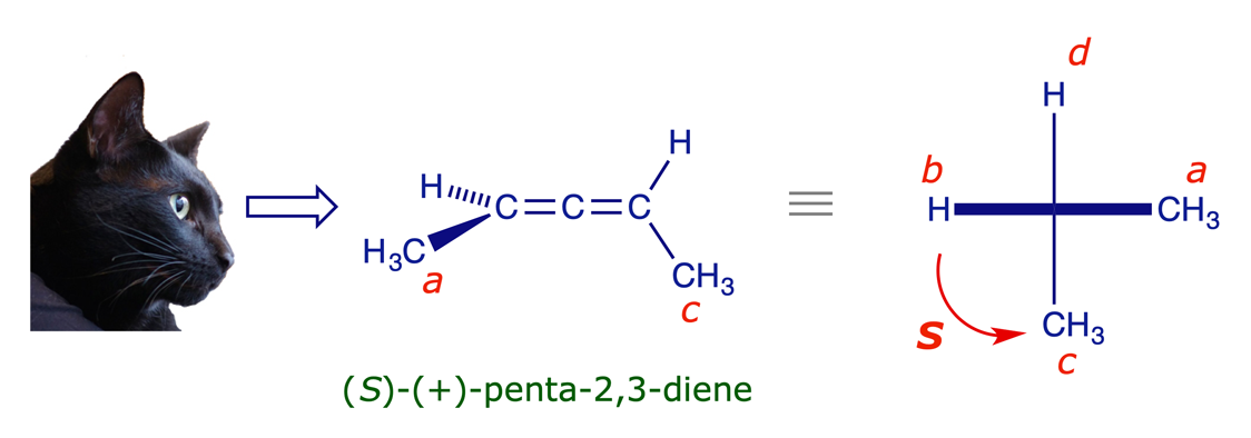 The view used in assigning the (<em>R</em>,<em>S</em>) configuration of penta-2,3-diene