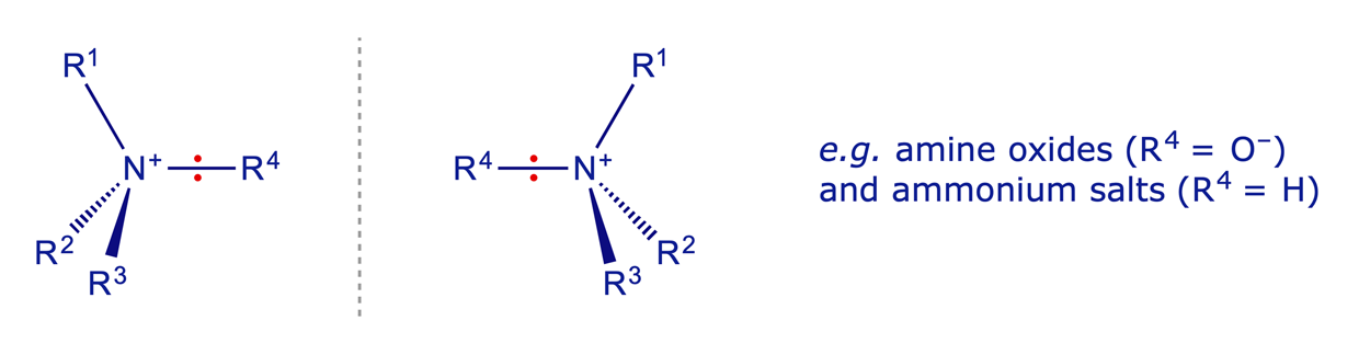 <em>N</em>-Chirality in amine oxides and ammonium salts