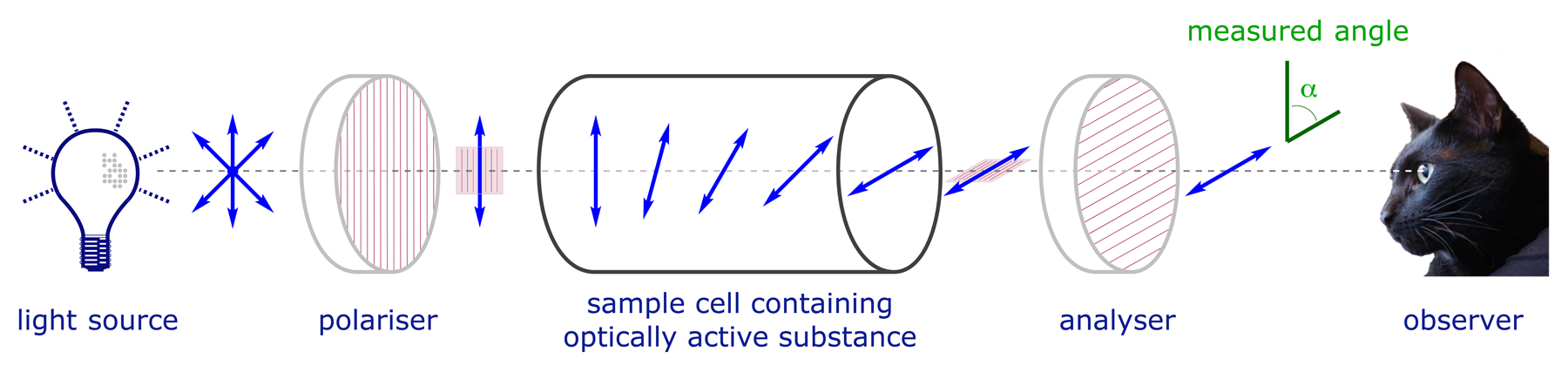 Schematic diagram showing the operating principles of a polarimeter